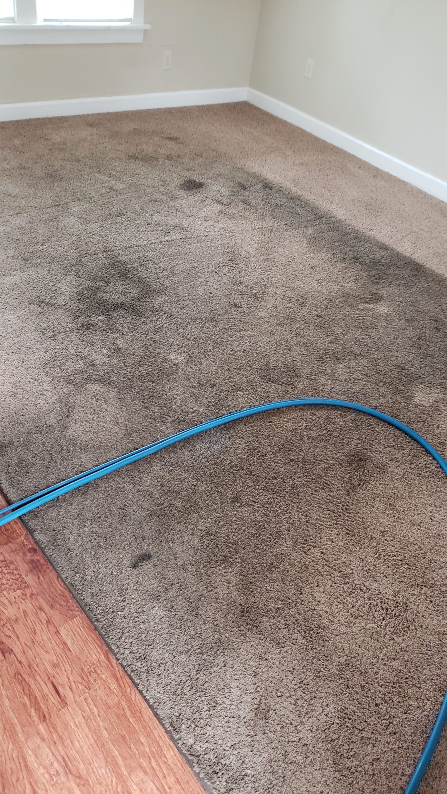 A dirty carpet before deep carpet cleaning