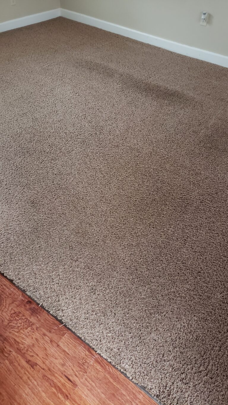 The result of deep carpet cleaning