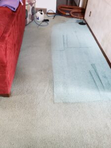 A deep carpet cleaning exposes the high contrast between the original and dirty carpet