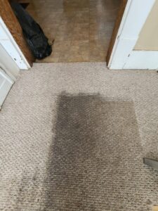 A deep cleaning shows a muddy floor next to a clean one