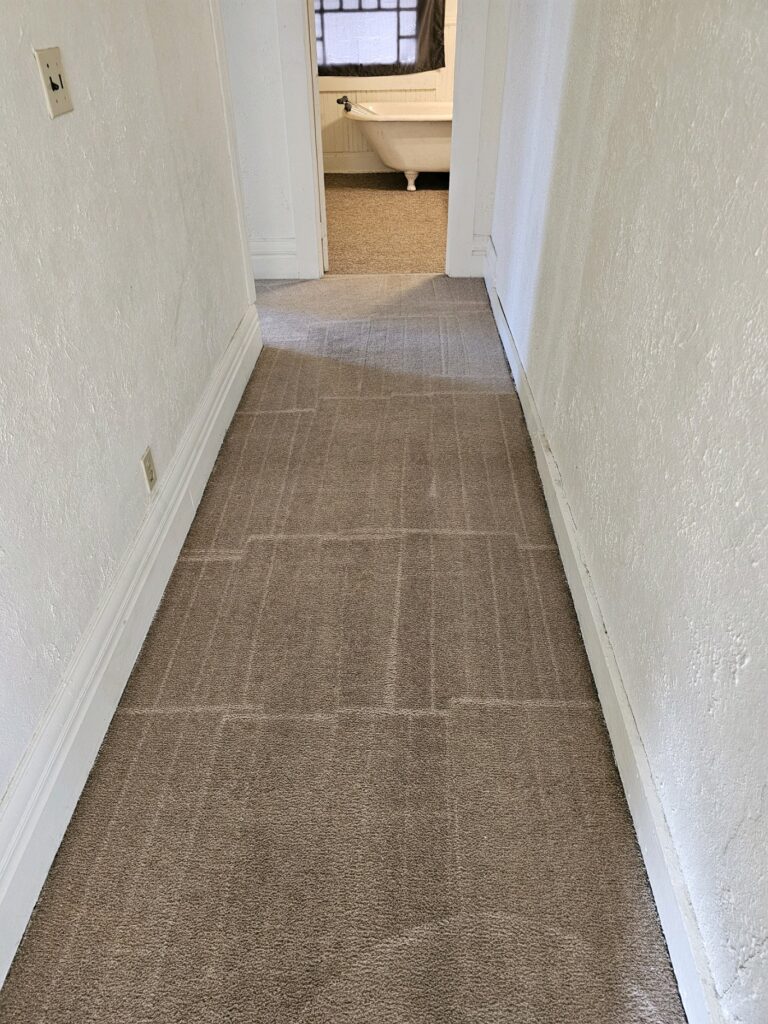 carpet cleaning results